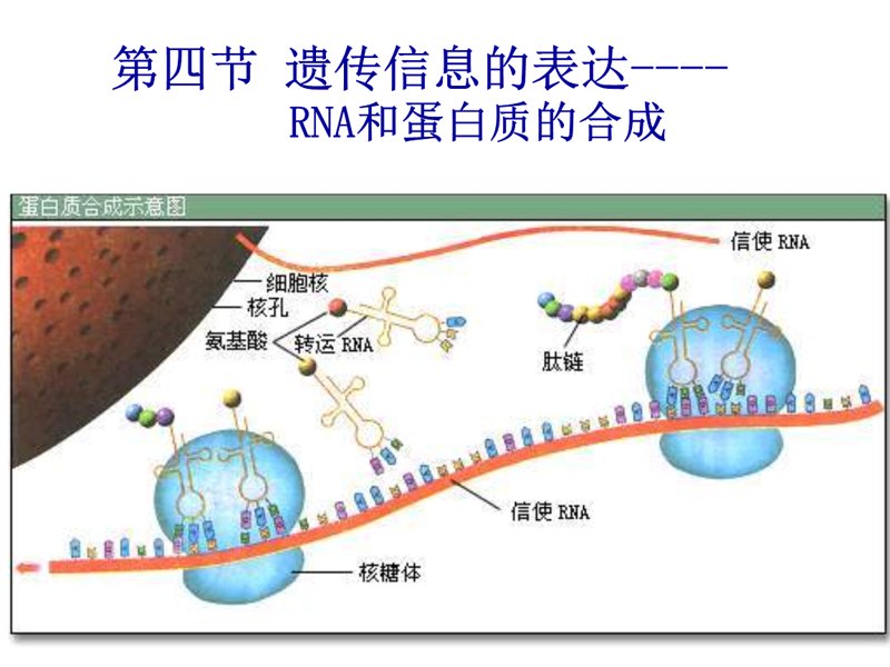 生物试剂研发:引领科技新潮流